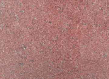 LAKSHMI RED